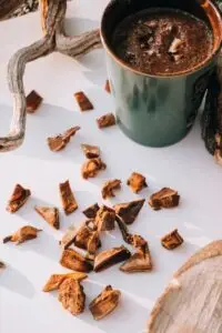 Top-down view of reishi mushroom pieces and a mug of hot drink on a wooden surface.