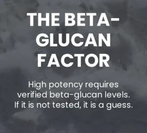 What are beta-glucans