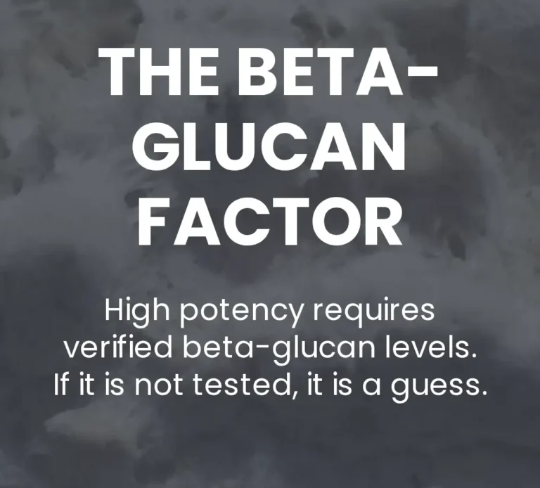 What are beta-glucans