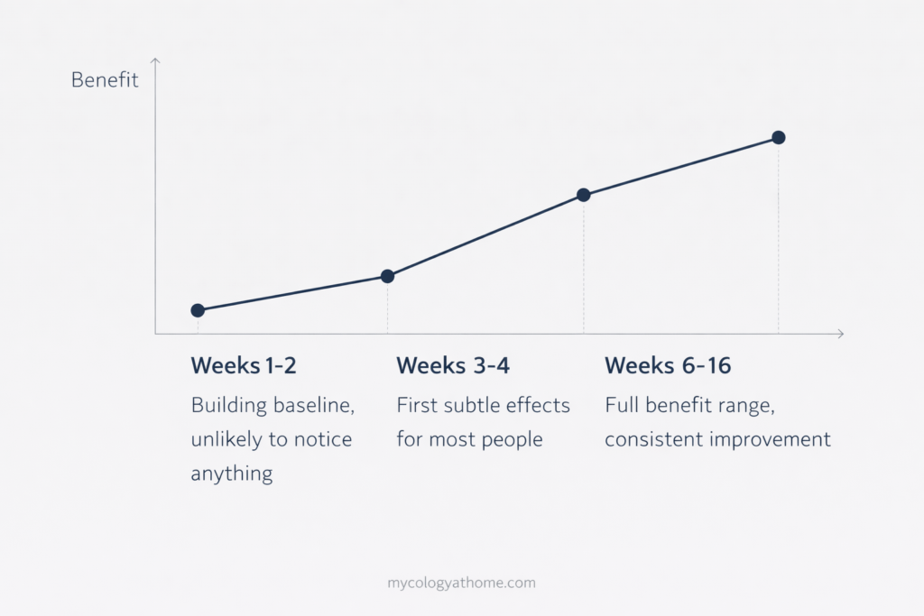 lions mane benefit timeline