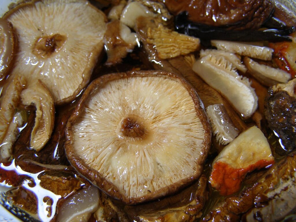shiitaki mushrooms
