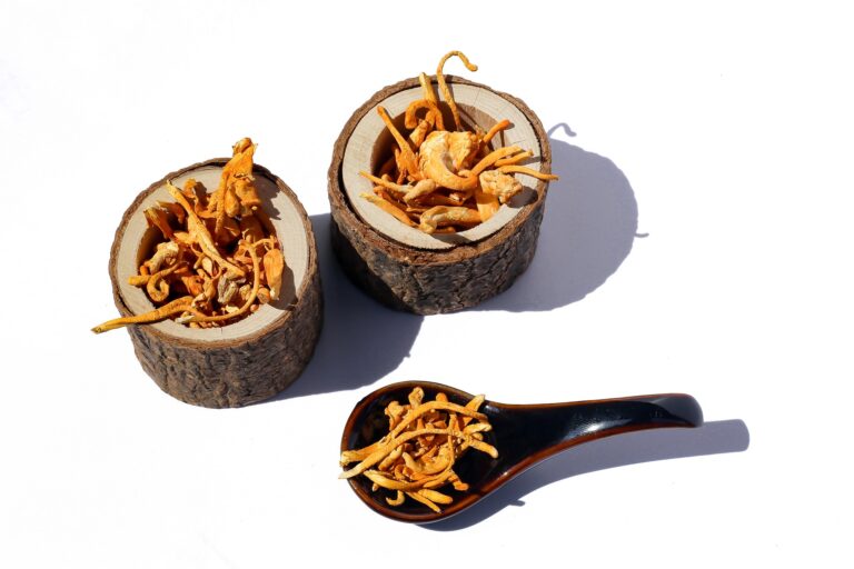 cordyceps dried, ready to make tea