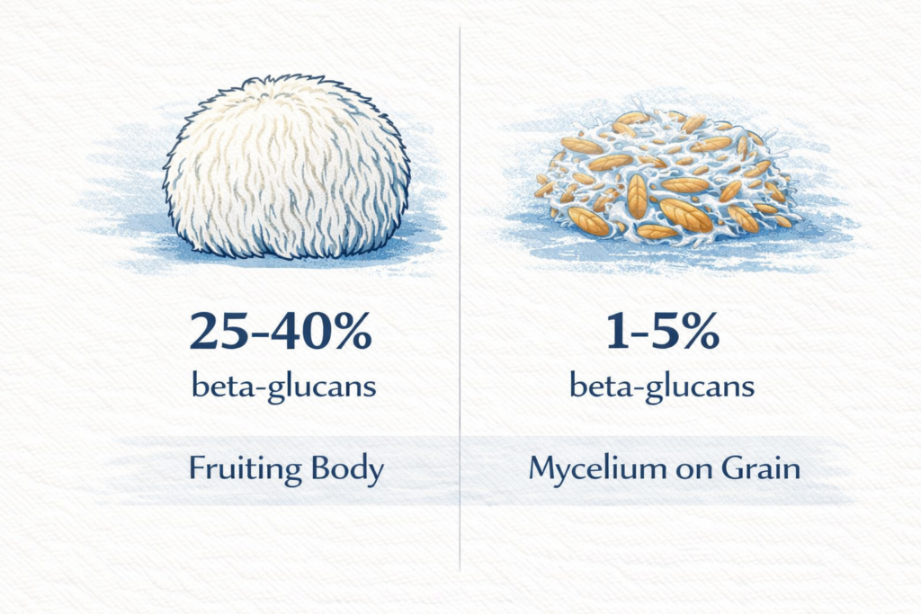 beta glucan fruiting body vs mycelium on grain