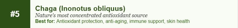 Chaga (Inonotus obliquus)
Nature's most concentrated antioxidant source
Best for: Antioxidant protection, anti-aging, immune support, skin health
