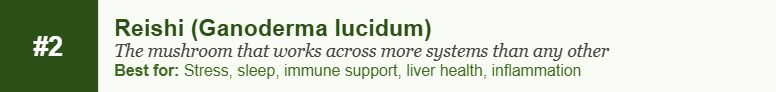Reishi (Ganoderma lucidum)
The mushroom that works across more systems than any other
Best for: Stress, sleep, immune support, liver health, inflammation