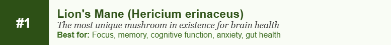 Lion's Mane (Hericium erinaceus)
The most unique mushroom in existence for brain health
