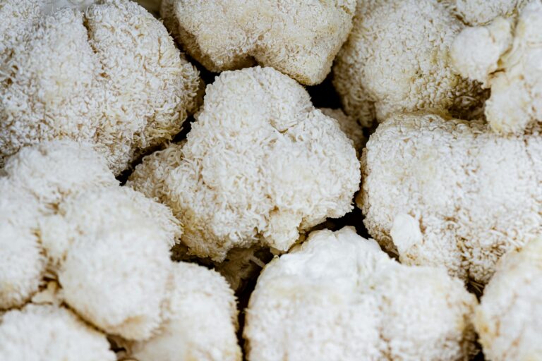 Lions main mushrooms