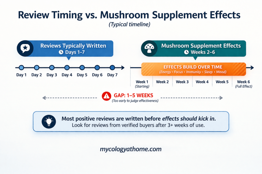 mushroom review vs effects timeline