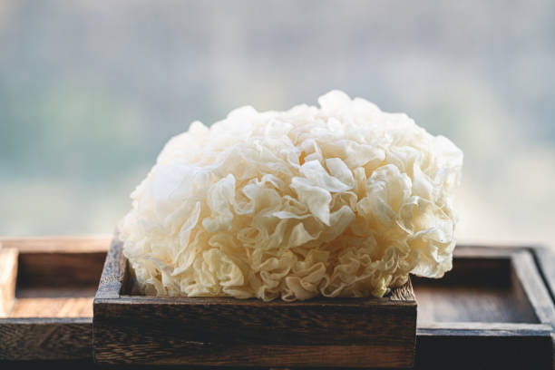 tremella mushroom benefits for skin