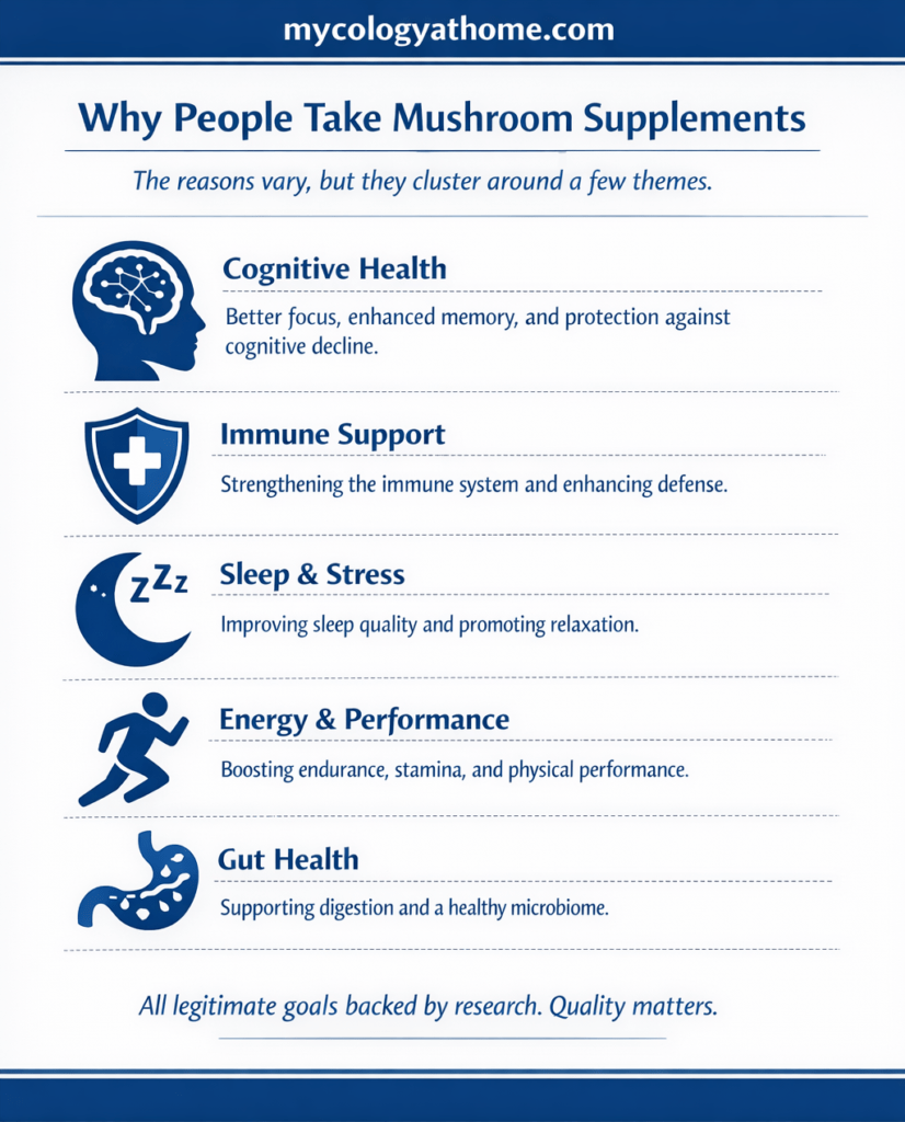 why people take supplements infographic
